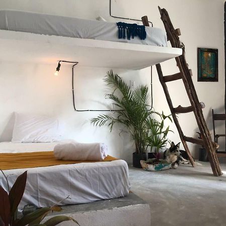 Black Jaguar Hostel باكالار المظهر الخارجي الصورة