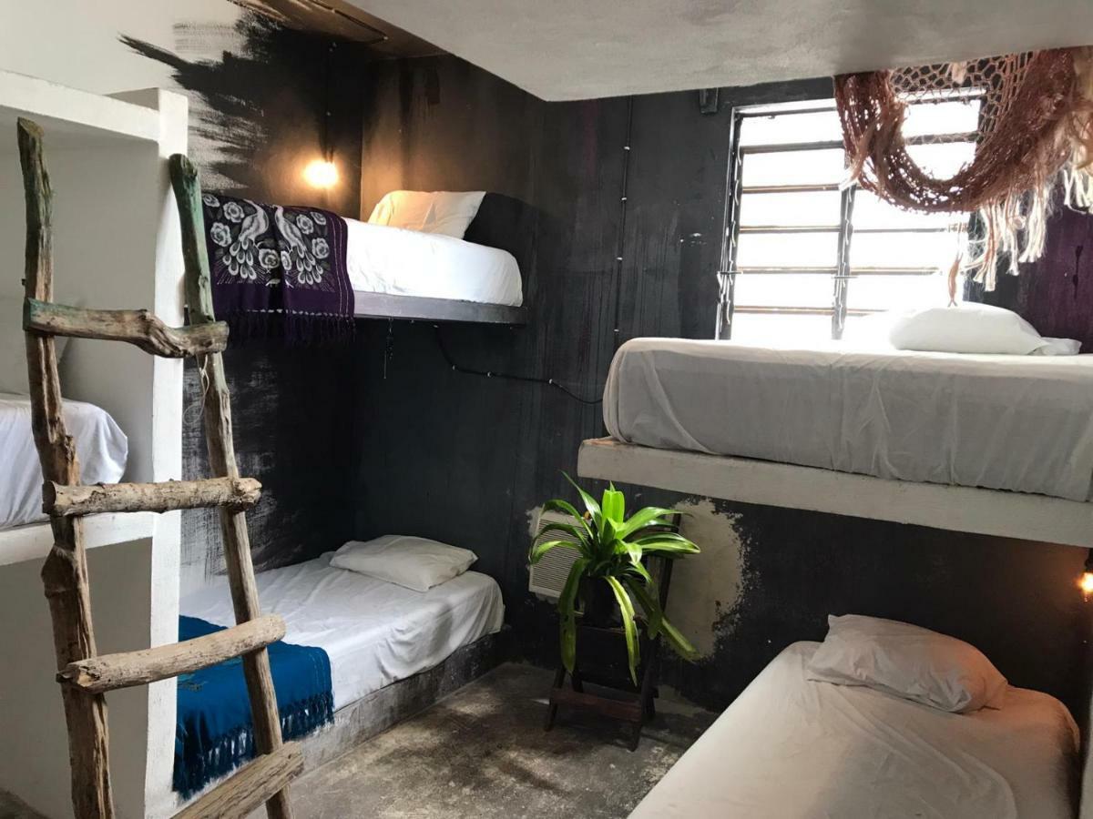 Black Jaguar Hostel باكالار المظهر الخارجي الصورة